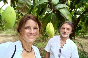 Tak rośnie mango – azjatycki owoc, który pachnie szczęściem