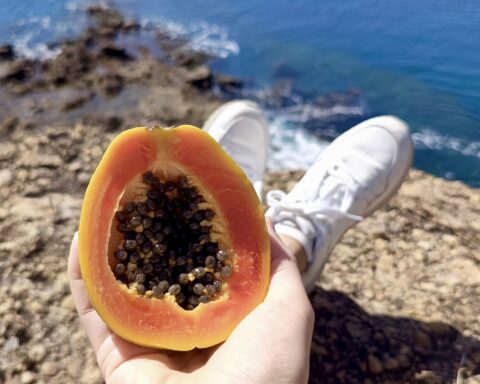Tak rośnie papaja. Mówisz: Cabo Verde — widzisz papaję.