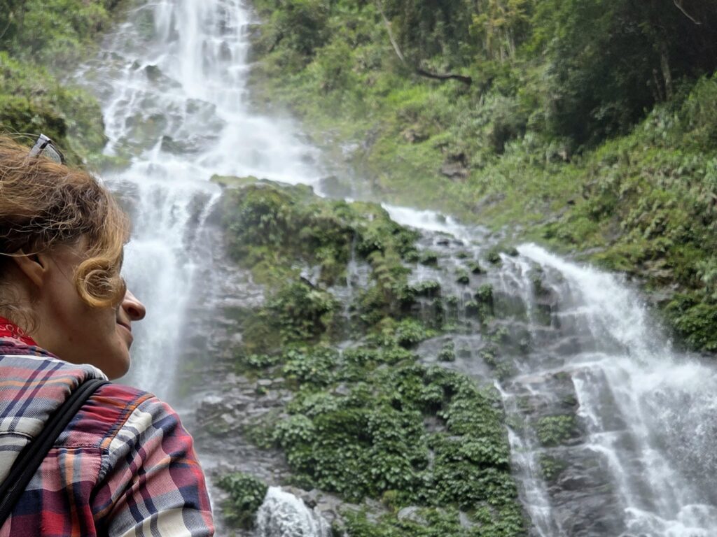 Borneo: co wiedzieć wybierając się do dżungli – praktyczny przewodnik