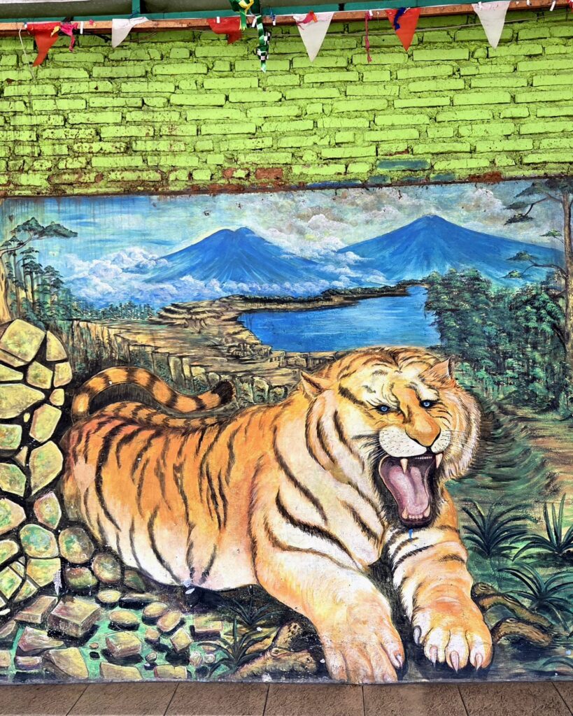 Mural z tygrysem i wulkanami na ścianie kampungu
